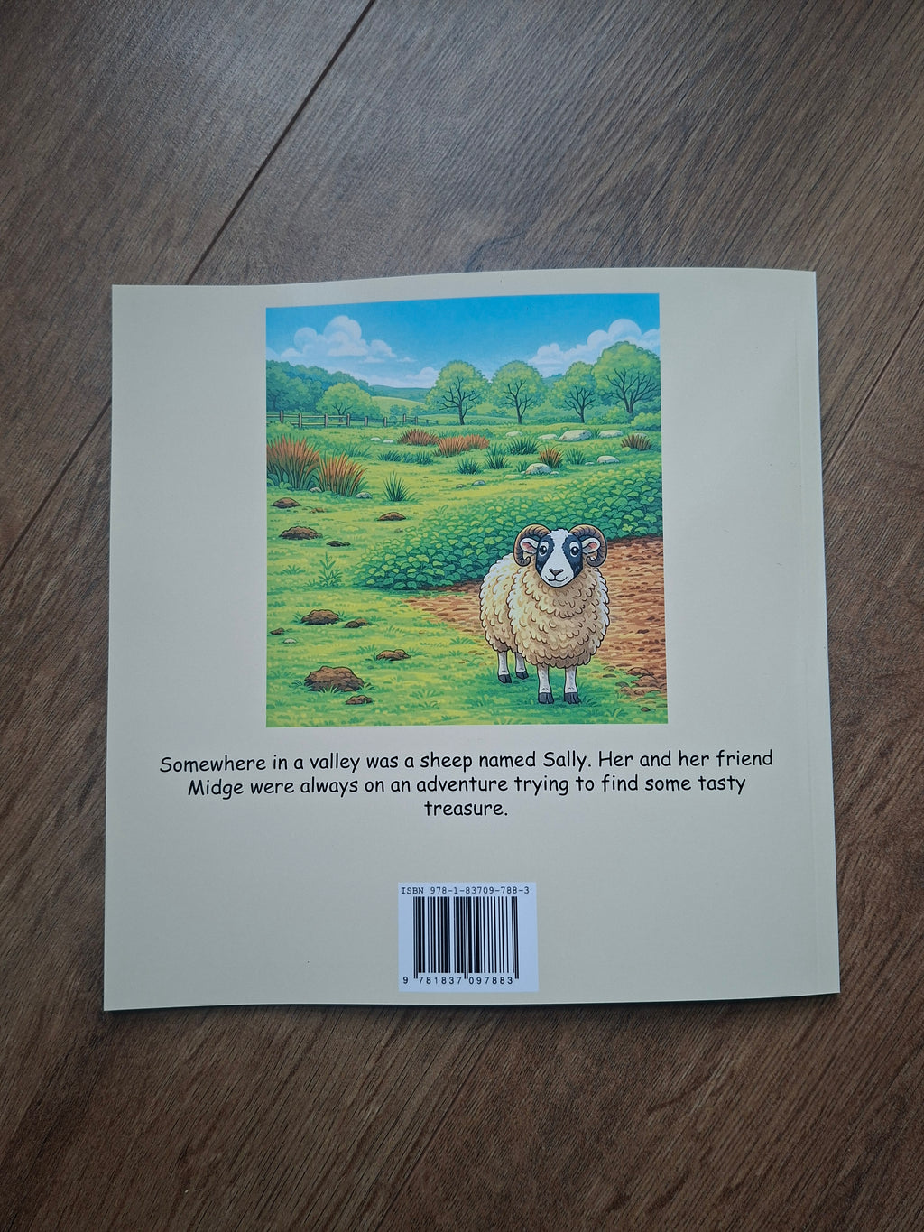Childrens Book